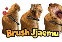 Brush Jjaemu img