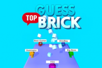 Guess Top Brick img