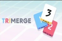 TriMerge img